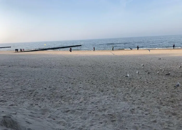 Blizej Morza Sorrento Z Garazem Appartamento *